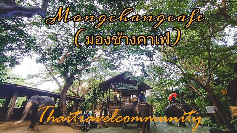 มองช้างค่าเฟ่-thaitravelcommunity